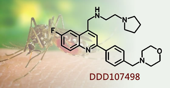 DDD107498 malaria