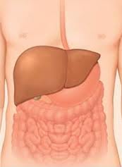 medicamento-hepatite-c