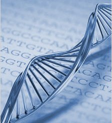 testes-farmacogenéticos-gntech-tests