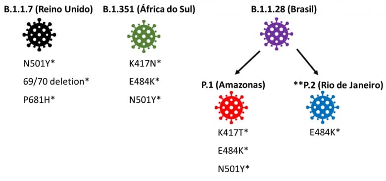 varientes coronavirus covid19